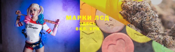 ALPHA PVP Баксан