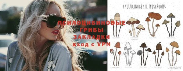 мяу мяу мука Балабаново